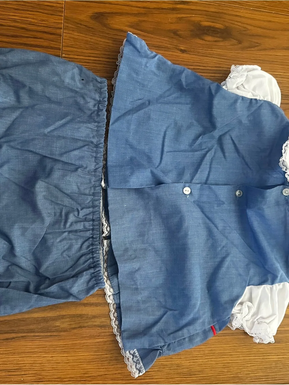 Vintage Blue Embroidered Dress Set with Bloomers